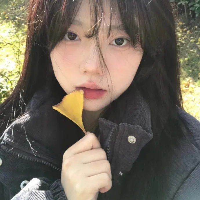 爱上罗宾汉